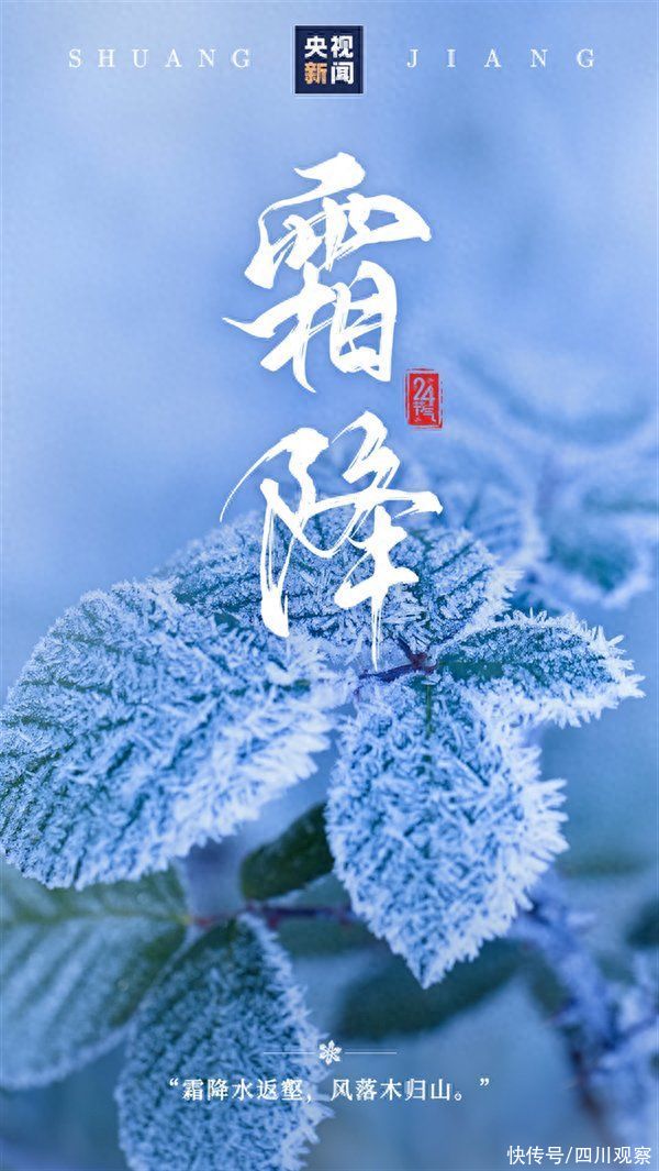 第4250页
