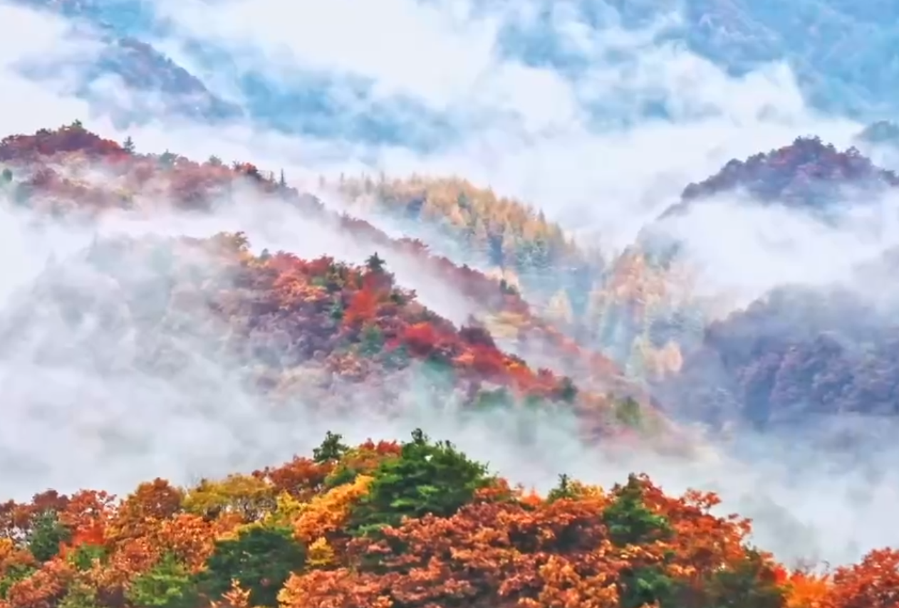 霜降时节寒意浓厚，冷霜凝结的季节