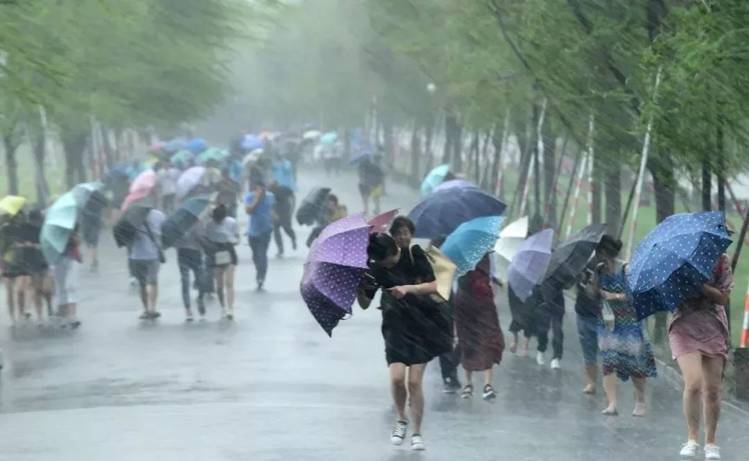 南京暴雨台风情况解析，跟随内心去旅行，无需担忧天气影响！
