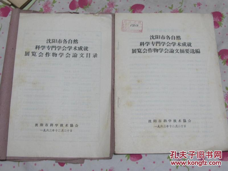 医院论文教授的心灵之旅，与自然相遇，寻找内心平静