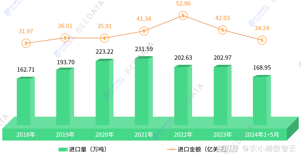 中公教育2024年上半年利润展望及解析