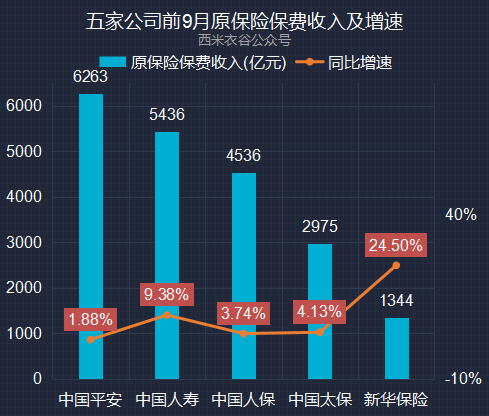 新华保险每月收入探索之旅，自然美景与内心的平衡发展之路
