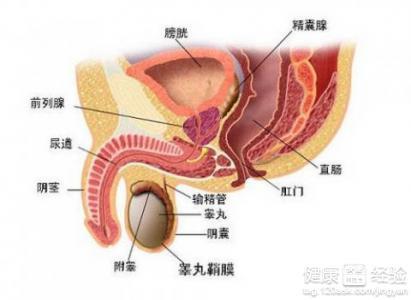 医院警告前列腺炎严重？别担心，自然美景之旅助舒缓压力！