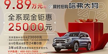 哈弗赤价格，时代印记与市场的波动影响