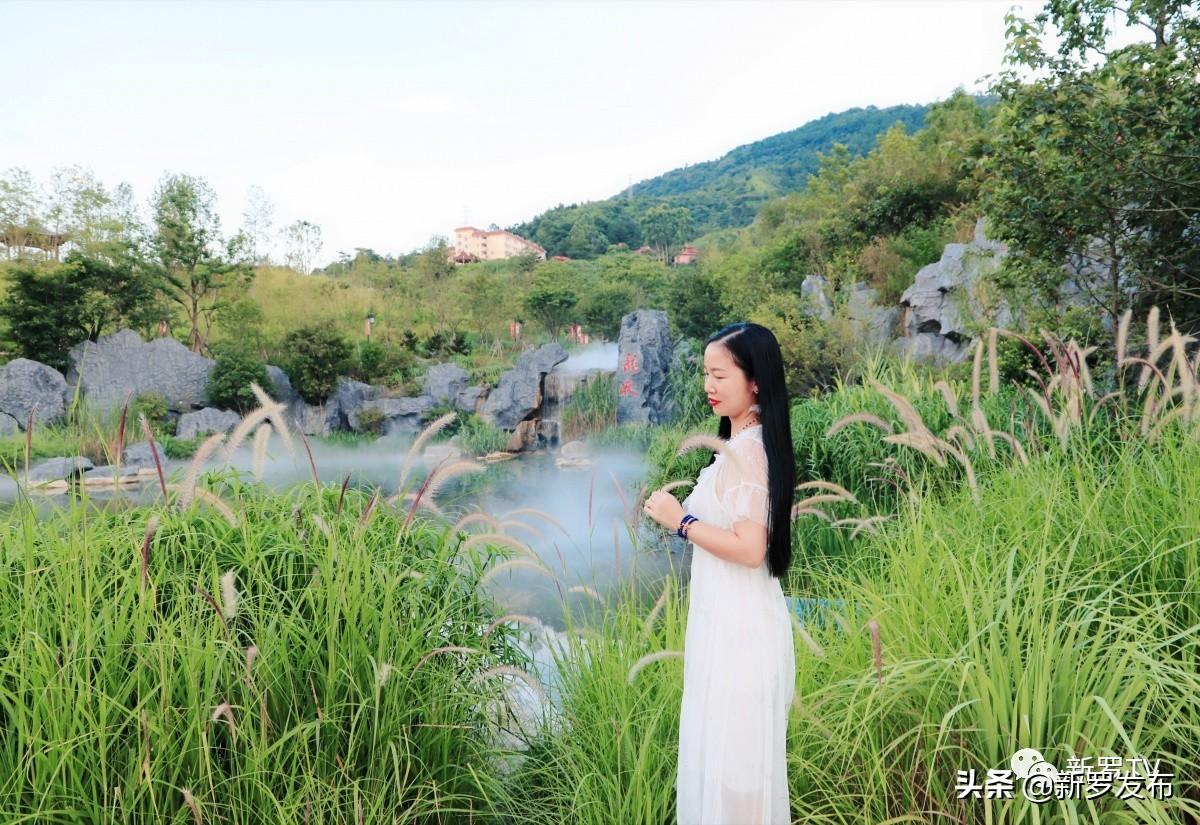 证监会，依法规范重要主体市场活动——深化监管，守护市场秩序之旅