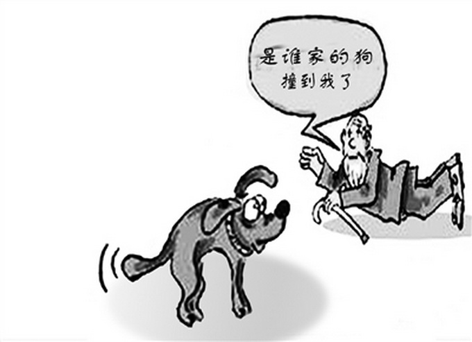 男子躲避飓风遗弃宠物狗面临五年监禁，探索自然美景之旅的启示