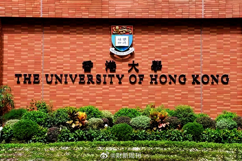 内地女子假学历风波冲击港大校园，报读失败引发成长反思
