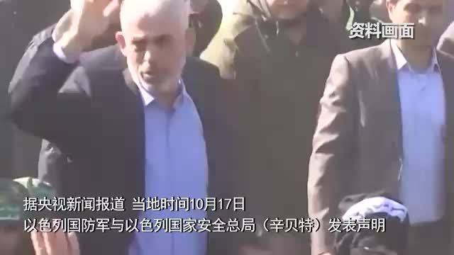 哈马斯领导人临死前疑对无人机做出异常举动，扔棍子动作引发关注