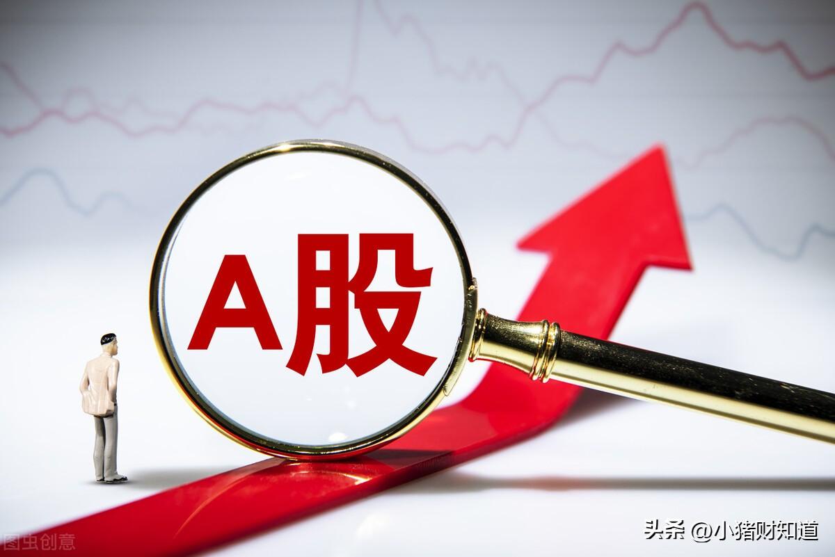 股票回购增持