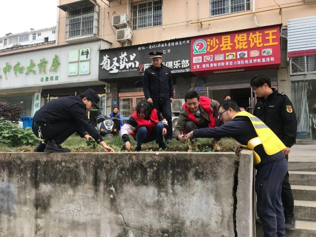 菜地插牌禁止栽种