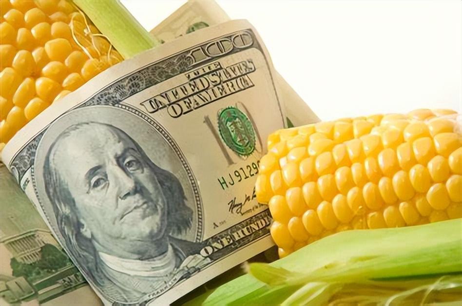 掌握技能，底气十足，端牢中国饭碗的粮食安全步骤指南