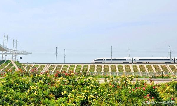 多个闲置高铁站密集重启，变化的力量与旅程自信展现
