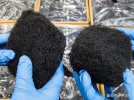 男子网售野生发菜获刑事件探讨，法律与生态保护之间的权衡与反思