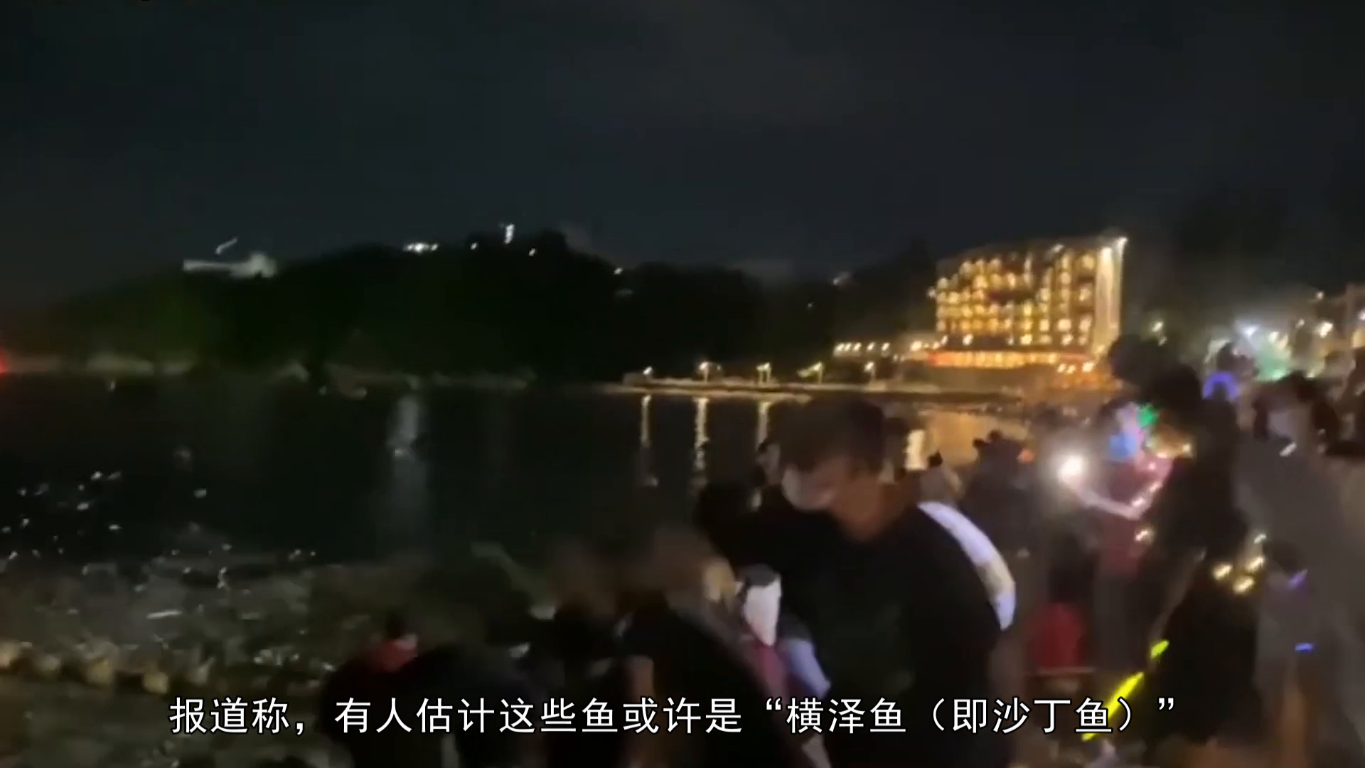 最新晚上碰视频,晚上碰视频，一段温馨的视频之旅