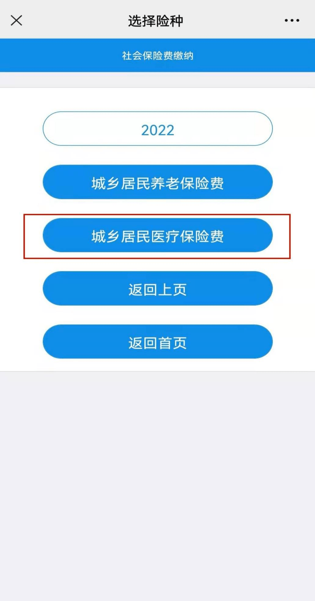 獭兔最新行情全面解析，指南与步骤详解