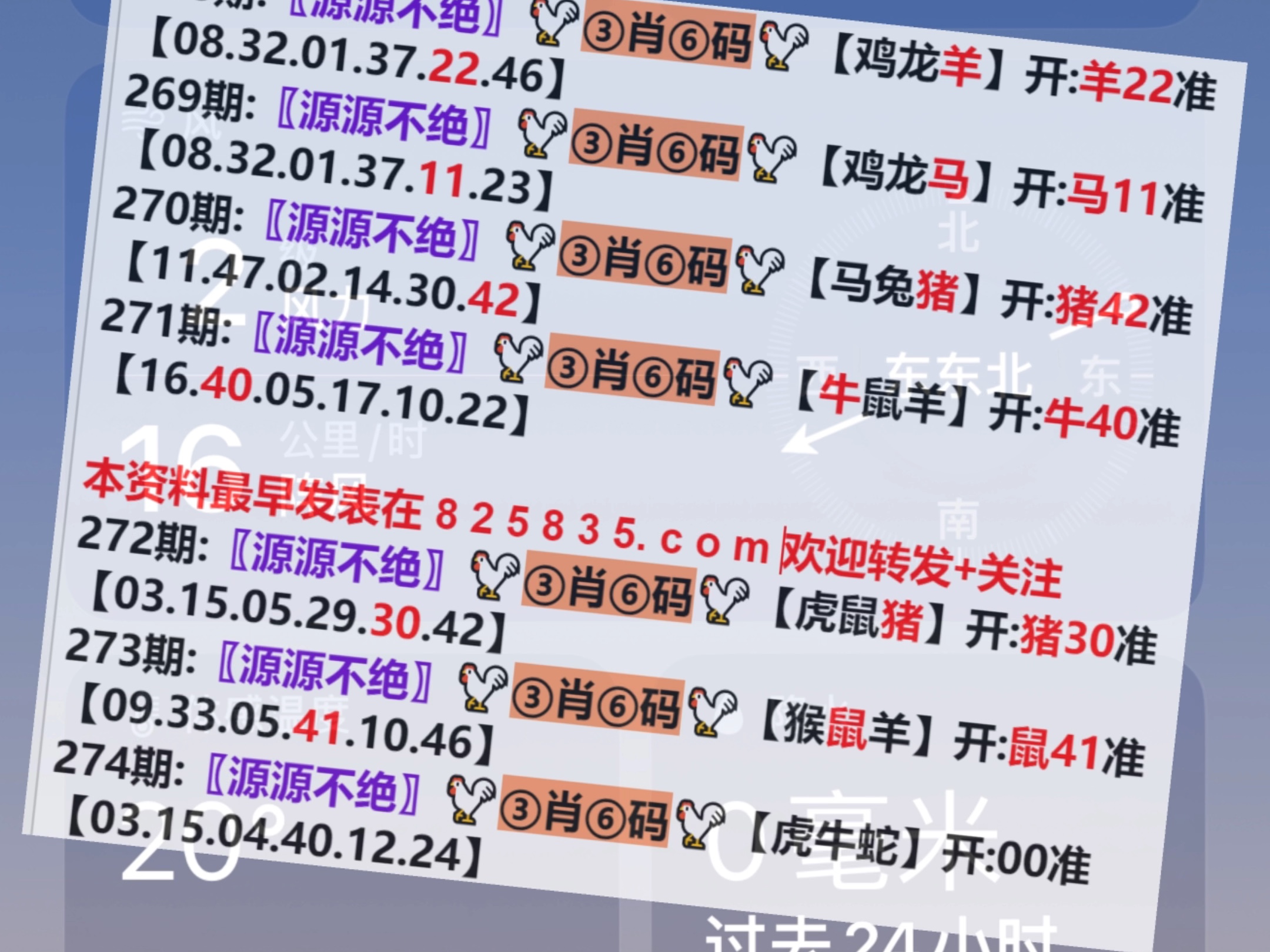 2024澳门天天开好彩精准24码,掉落词语解析_48.42.11上海电气