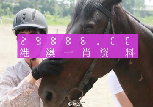 今晚澳门必中一肖一码,深邃解答解释落实_交互版89.047
