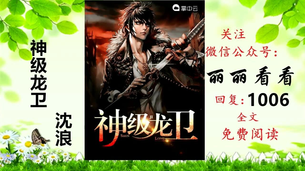 神级龙卫最新目录探讨与解析