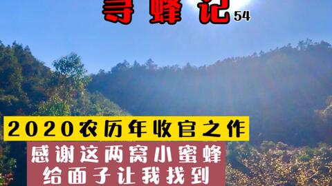 交费易最新，自然美景之旅，探寻内心平和与宁静的旅程