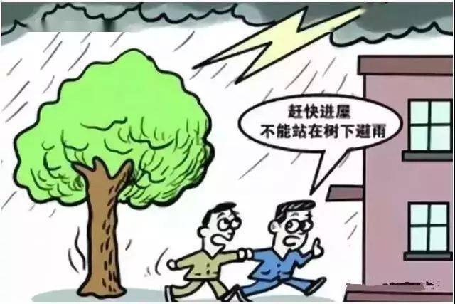 钱爸爸最新动态，我的观察与见解