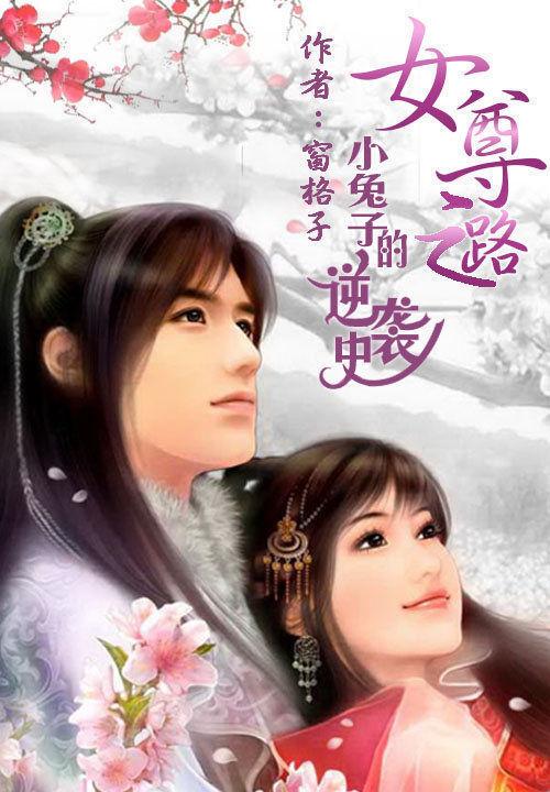 日常温馨趣事，女尊世界的新篇章 2017年最新完结