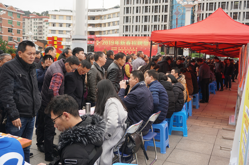 将乐最新招聘观点论述解析