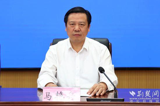 湖北麻城最新新闻报道