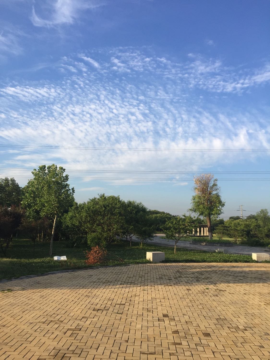 最新长安天气预报更新🌦️