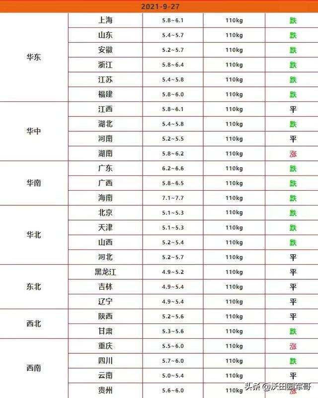 贵州最新生猪价格及市场走势分析与预测