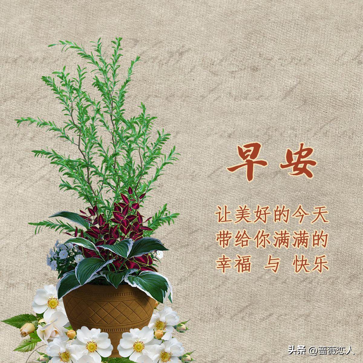 青岛汉德焊自动化 第348页