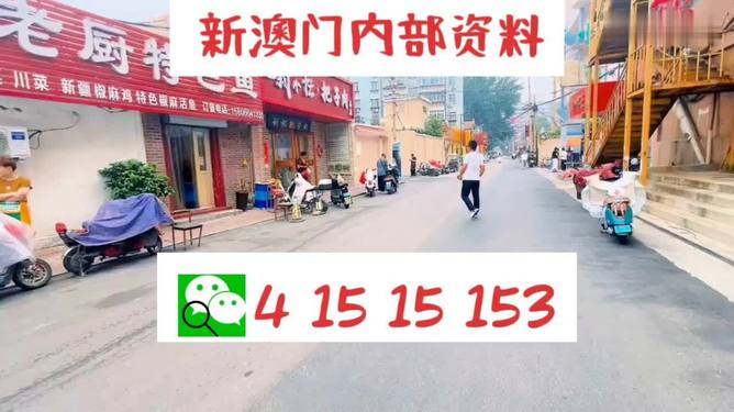 2024澳门天天开好彩免费大全,数据指导策略规划_多功能版25.817