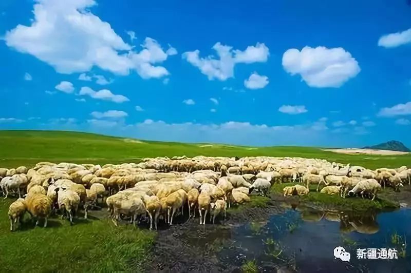 霍林郭勒信息港最新招聘信息及小巷深处的独特风味探索！