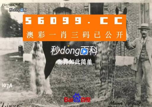 王中王心水王中王免费资料一,时代变革评估_经典版36.203