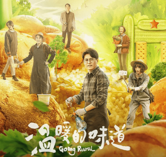 演员宋茜,演员宋茜，星光璀璨的表演之路