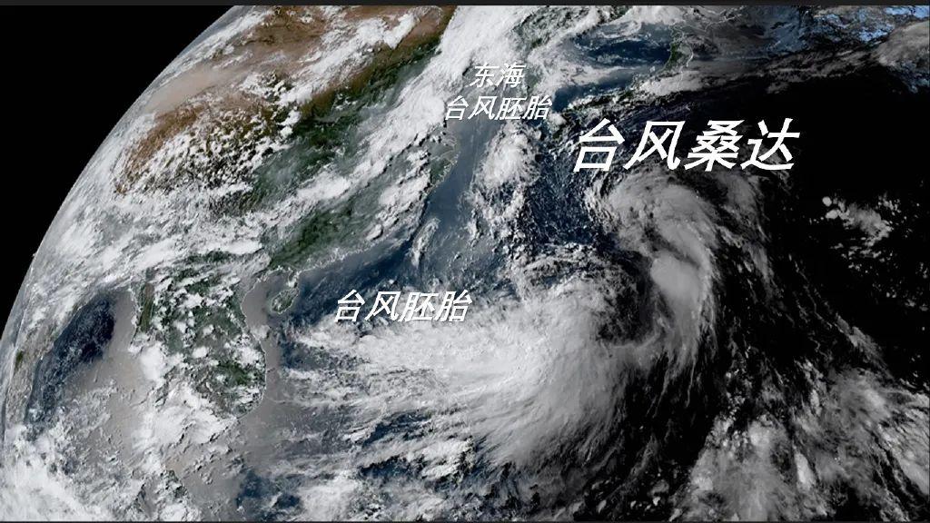 舟山台风最新消息更新，台风动态及影响分析