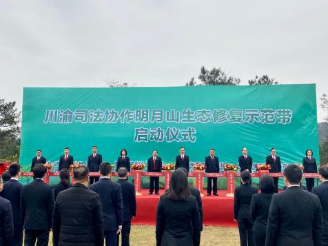 四川邻水新闻速递,四川邻水新闻速递，友情与陪伴的温馨日常