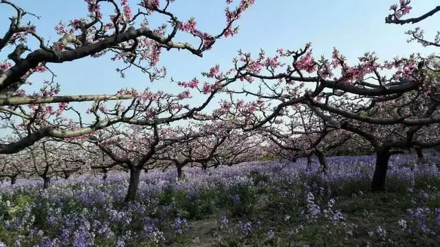 立式自动焊机 第259页