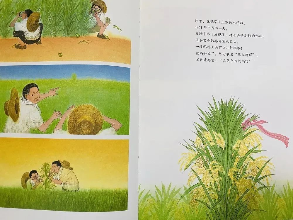 最新高淳诈骗案，变化中的智慧觉醒与背后故事揭秘