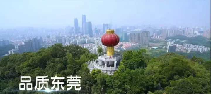 威宁科技新品引领生活新潮流，最新消息震撼登场！