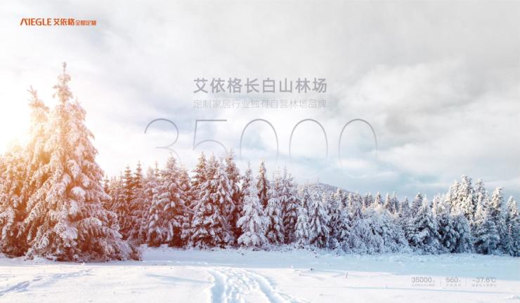 艾格上市，启程自然美景的奇幻探索之旅