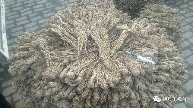当归价格,当归价格查询与选购指南