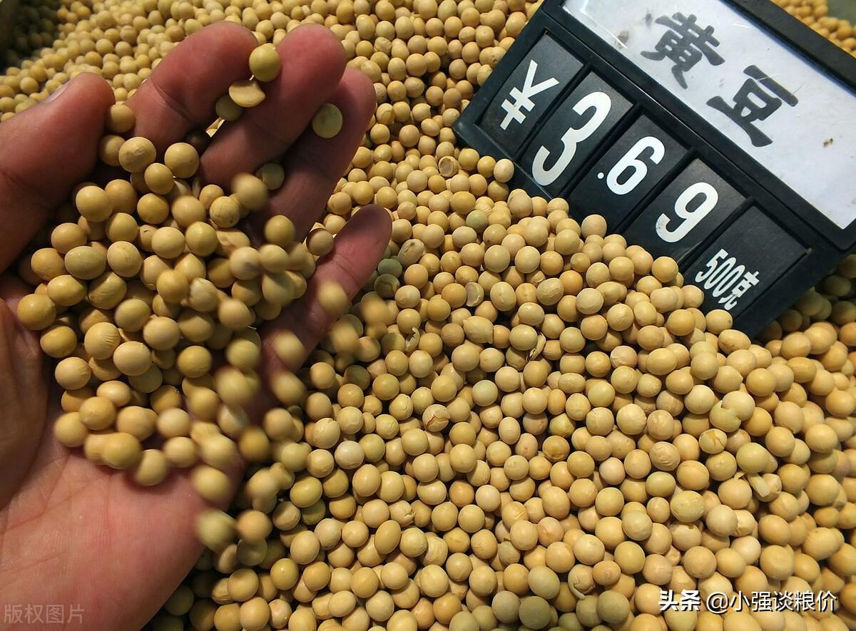 黑龙江黄豆今日最新价格揭秘，背后的市场动态与故事