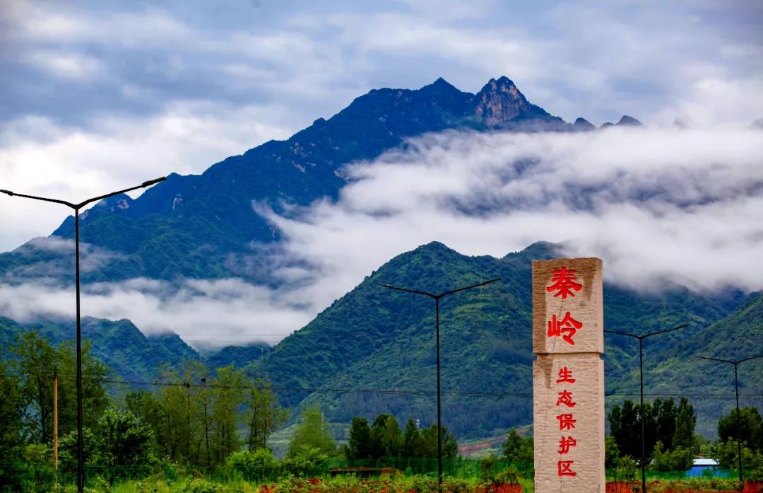 西安市行政区划图揭秘，小巷深处的隐藏瑰宝