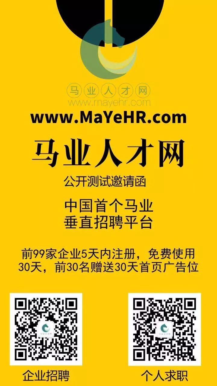 飞云马道最新招聘，探寻职业发展新机遇，等你来挑战！