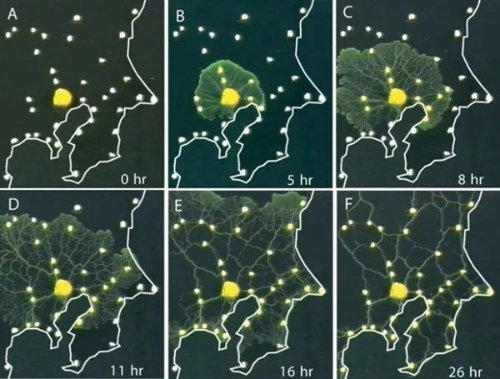 最新蝶战电视剧排行榜,现代化解析定义_智能版23.475