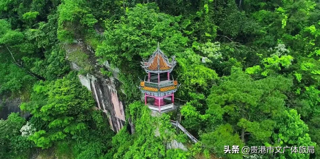 贵港四季花田最新消息,稳固执行战略分析_梦幻版23.564