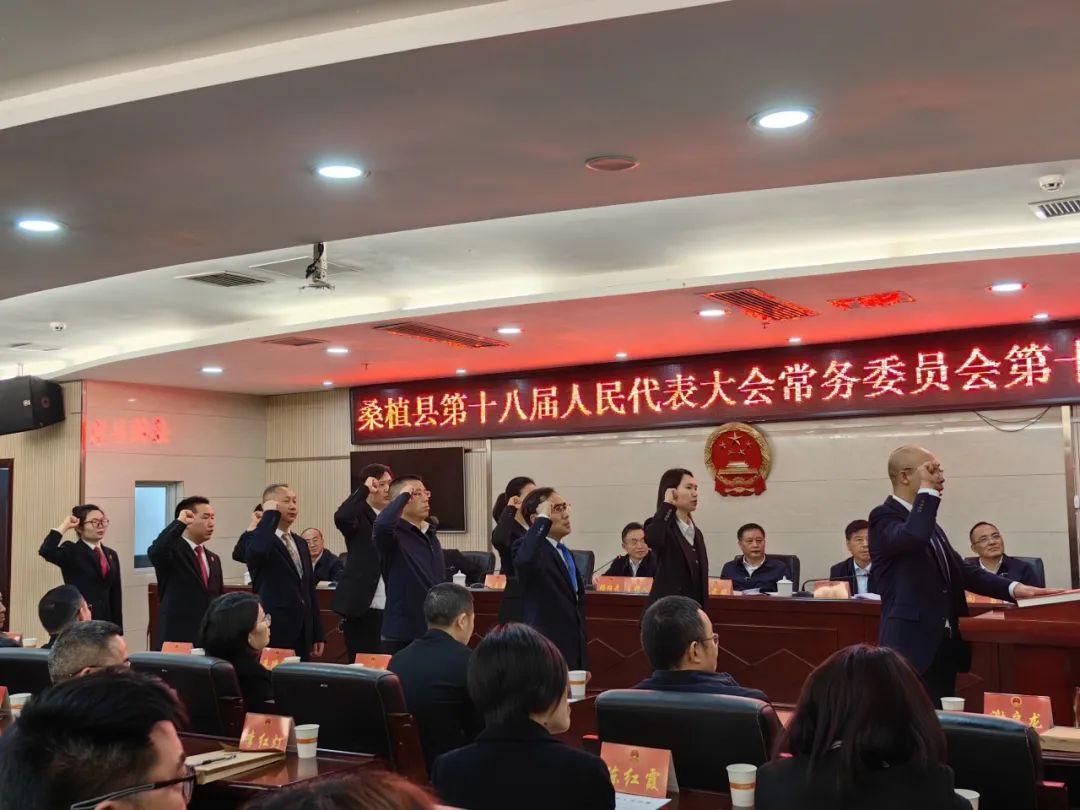 桑植县最新人事任免动态及指南