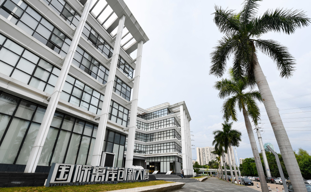 海南赛马政策更新，科技引领产业变革，速度与激情的全新体验