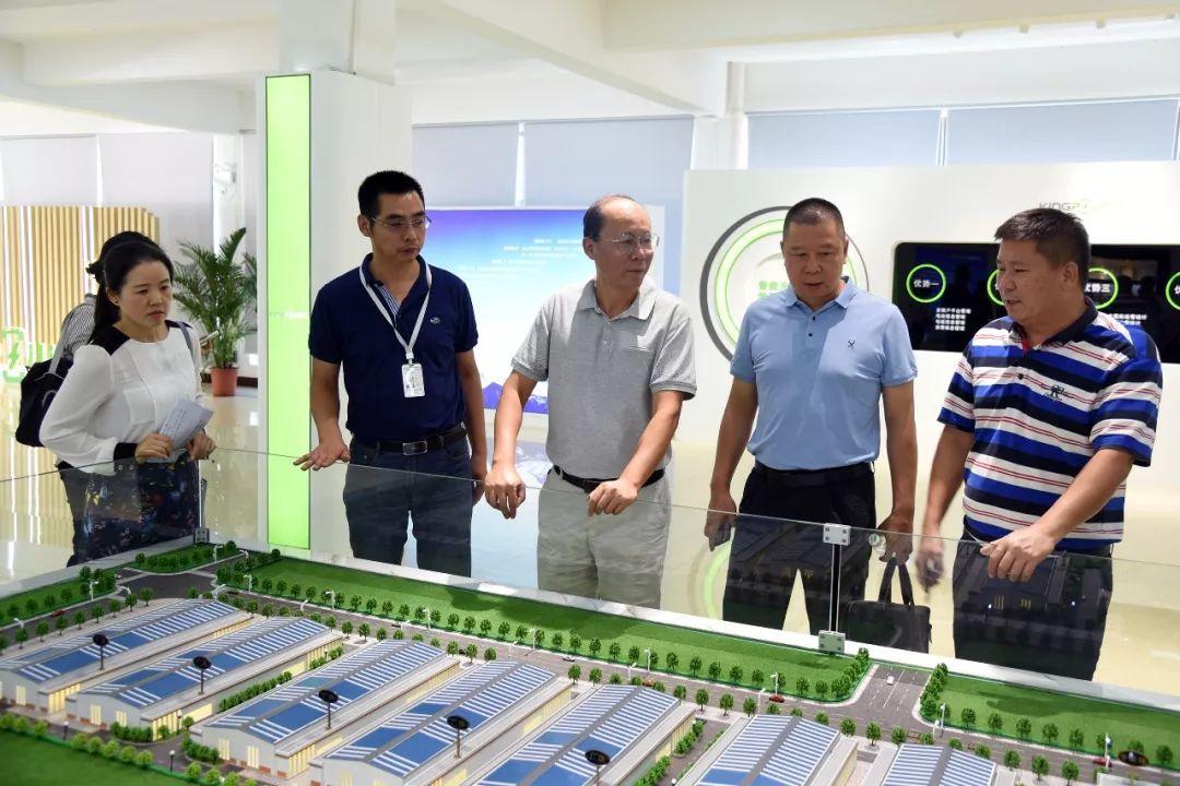最新福利视频合集，科技让生活更精彩
