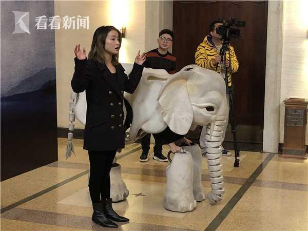 大象直播最新版，启程自然，探寻内心平静的力量之旅